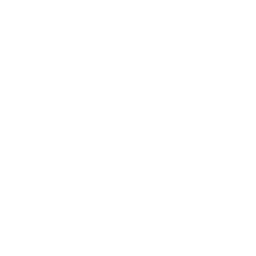 Vehnah AI
