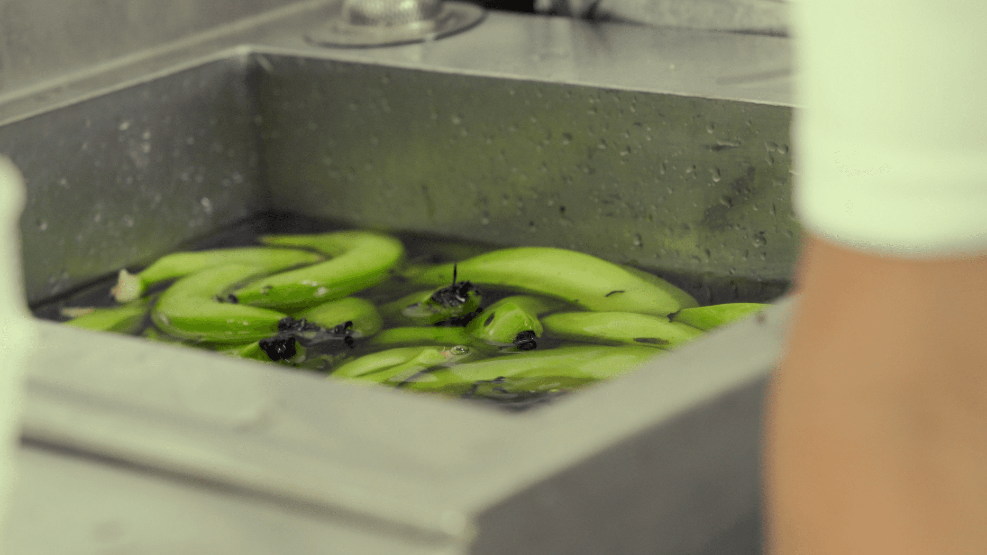 Alere Gourmet frame 19