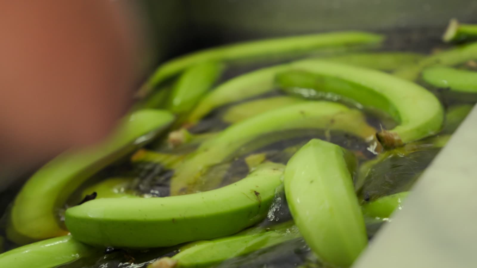Alere Gourmet frame 20