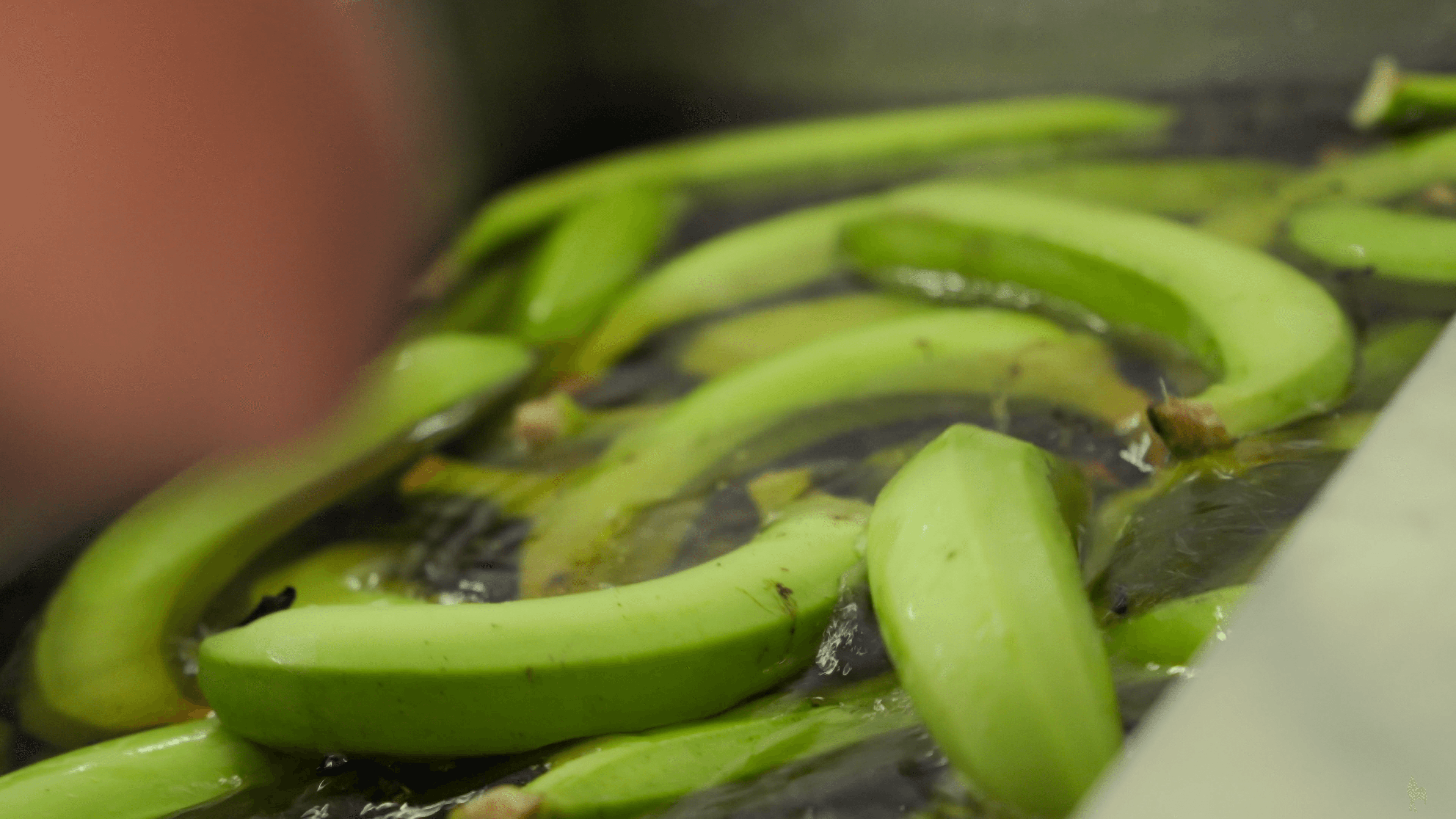 Alere Gourmet frame 20