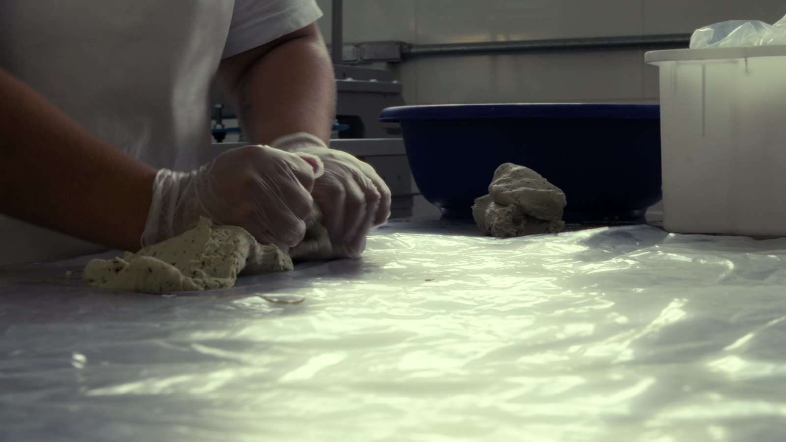 Alere Gourmet frame 21