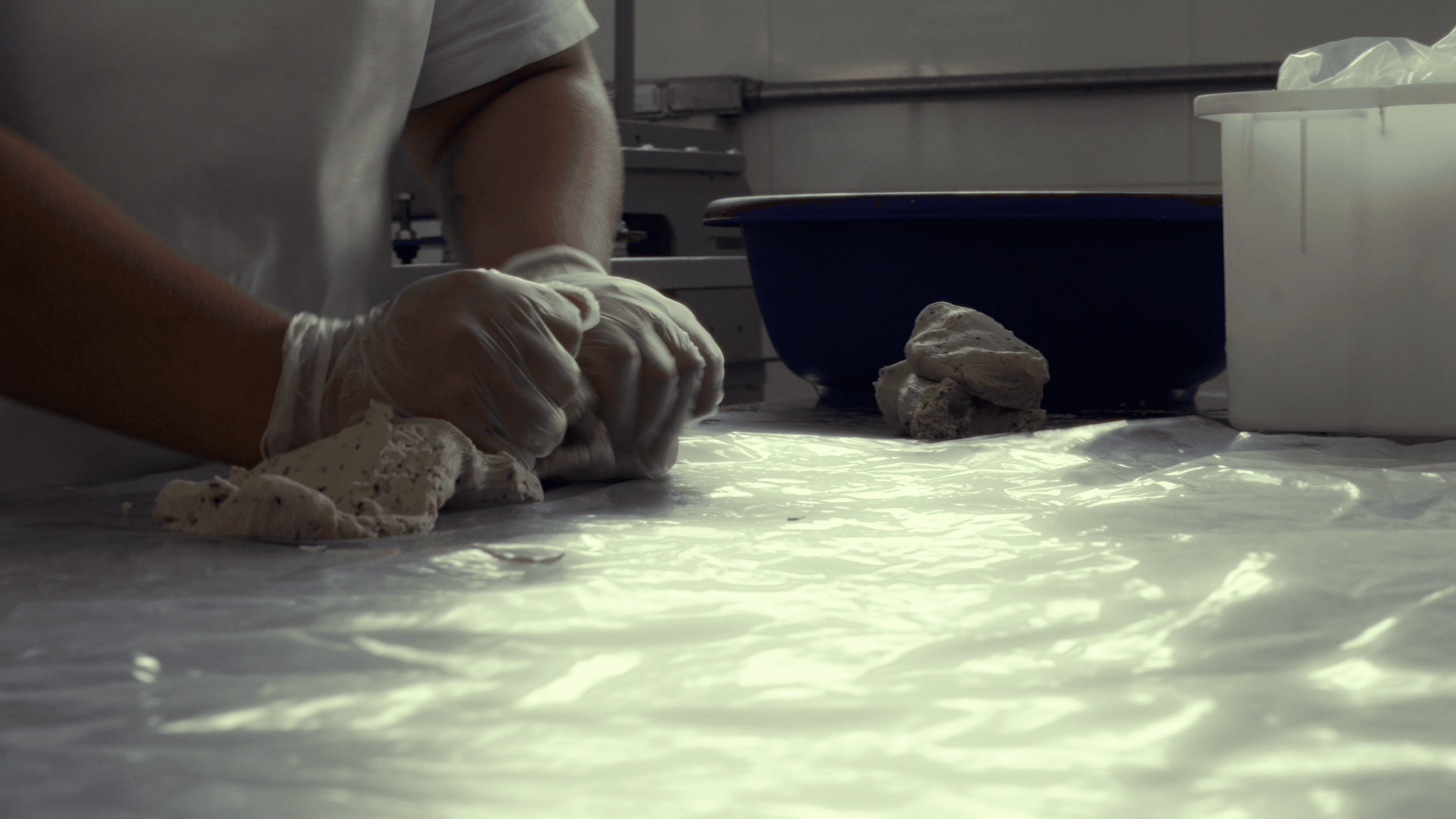 Alere Gourmet frame 21