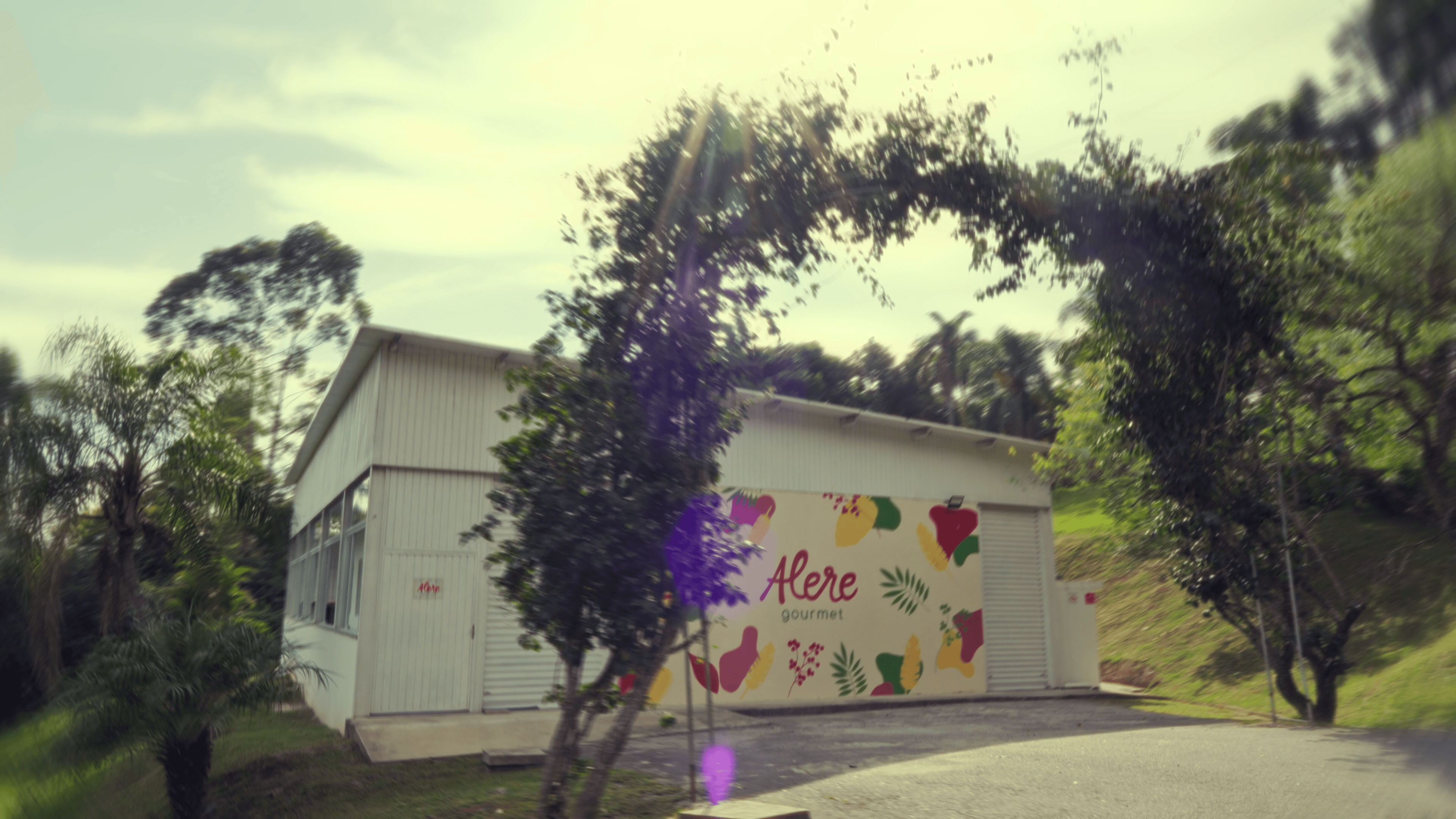 Alere Gourmet frame 1