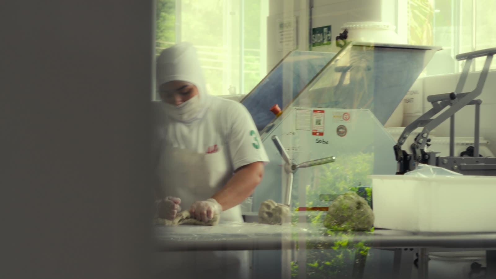 Alere Gourmet frame 6