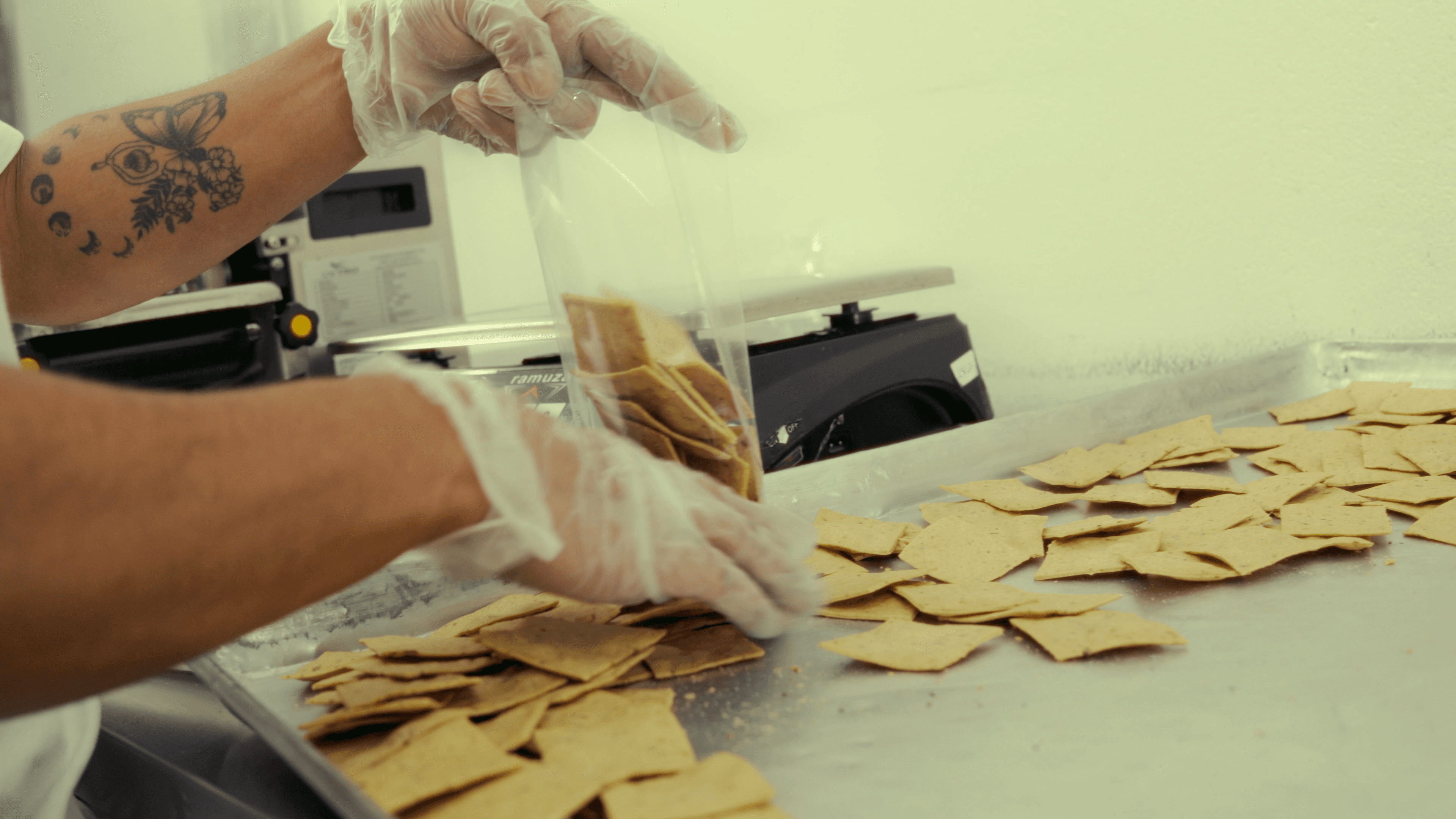 Alere Gourmet frame 30