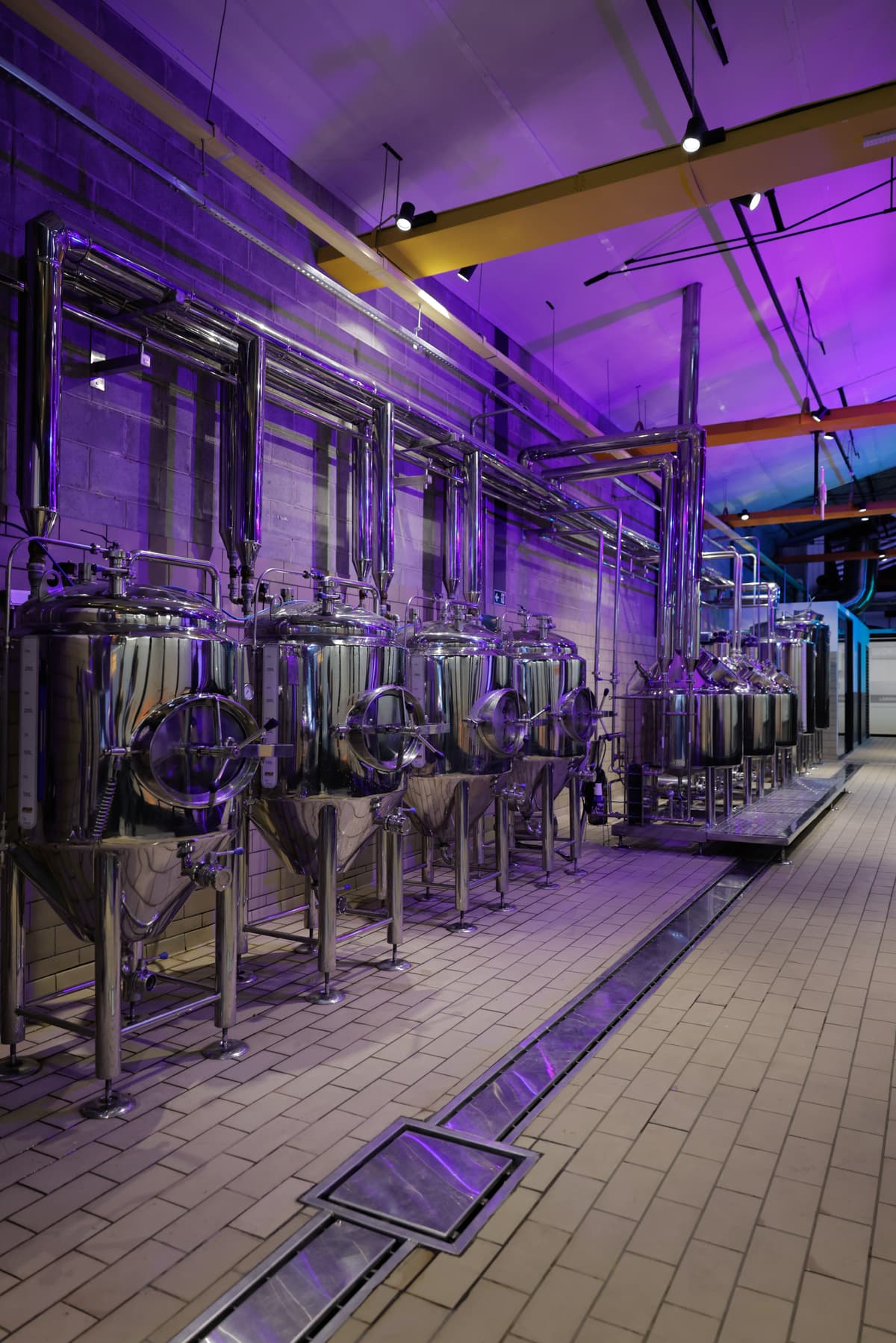 E-Day 5ª Edição — foto 26