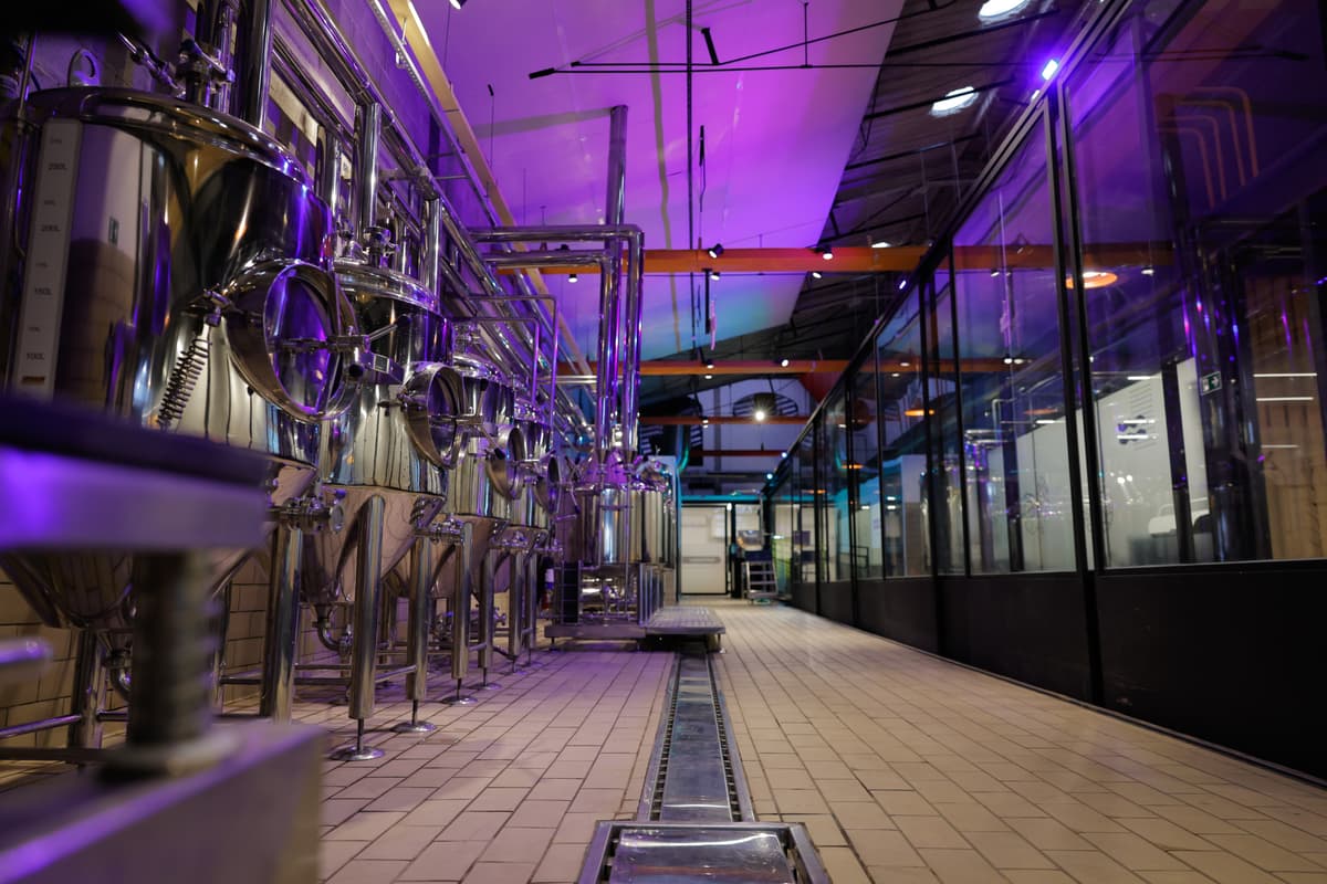 E-Day 5ª Edição — foto 27