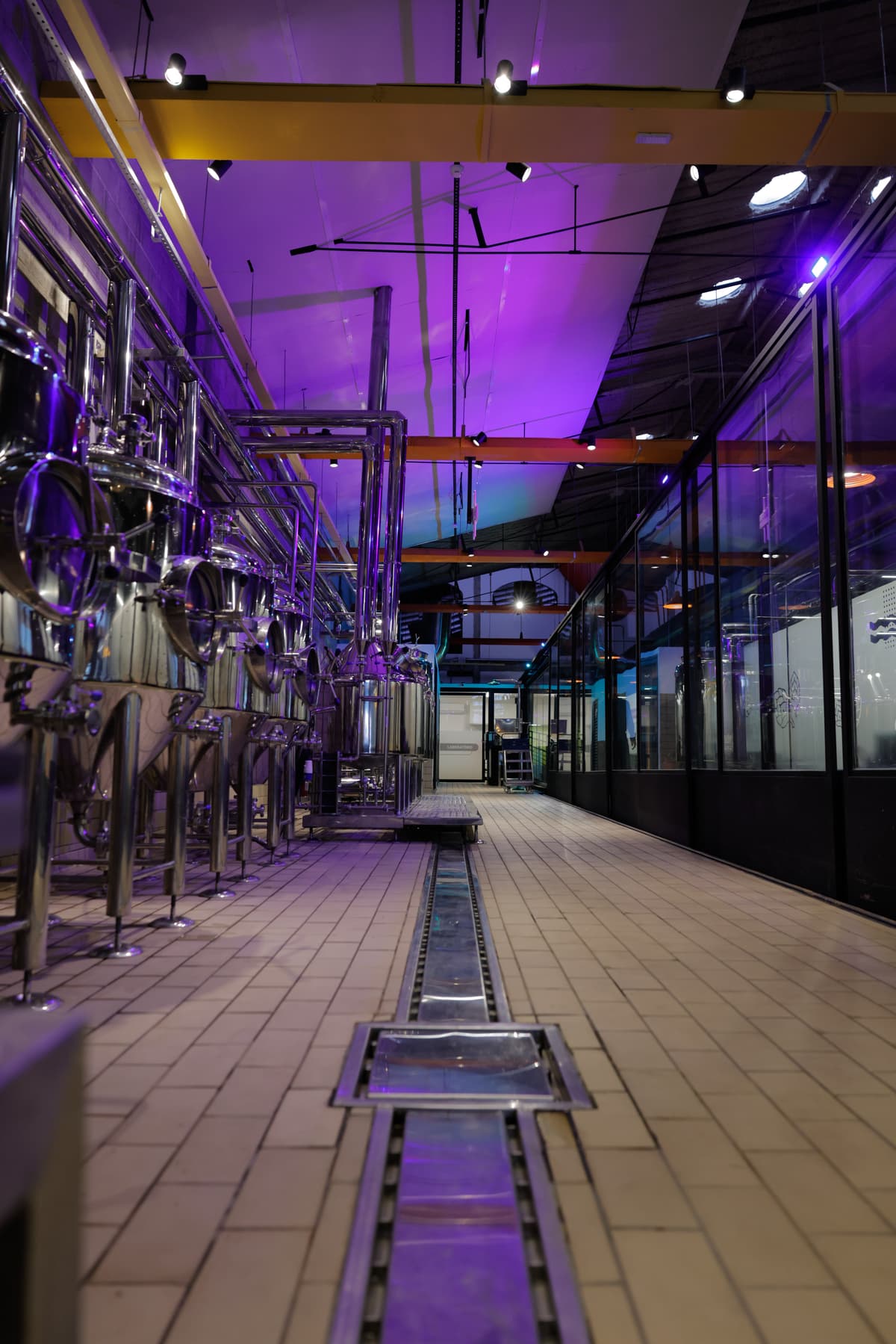 E-Day 5ª Edição — foto 28