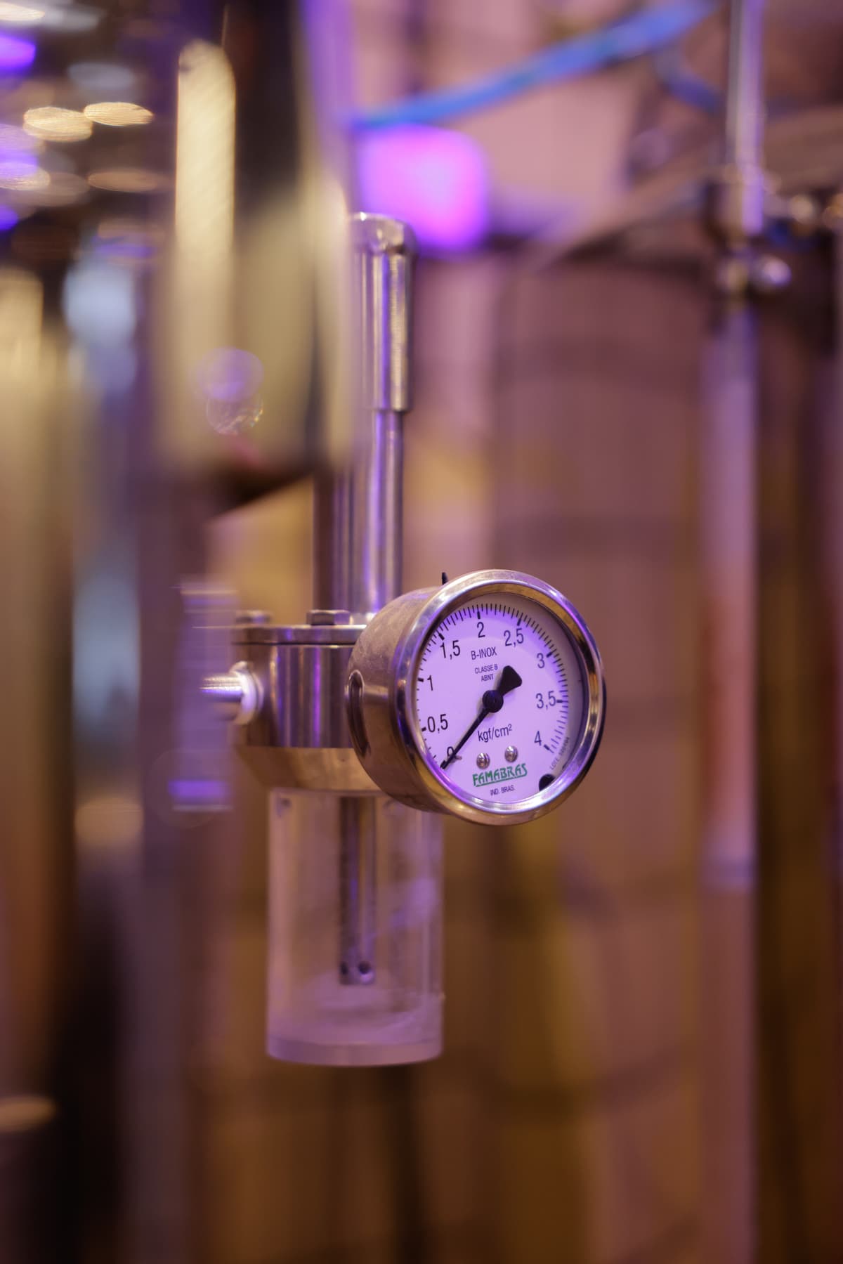 E-Day 5ª Edição — foto 4