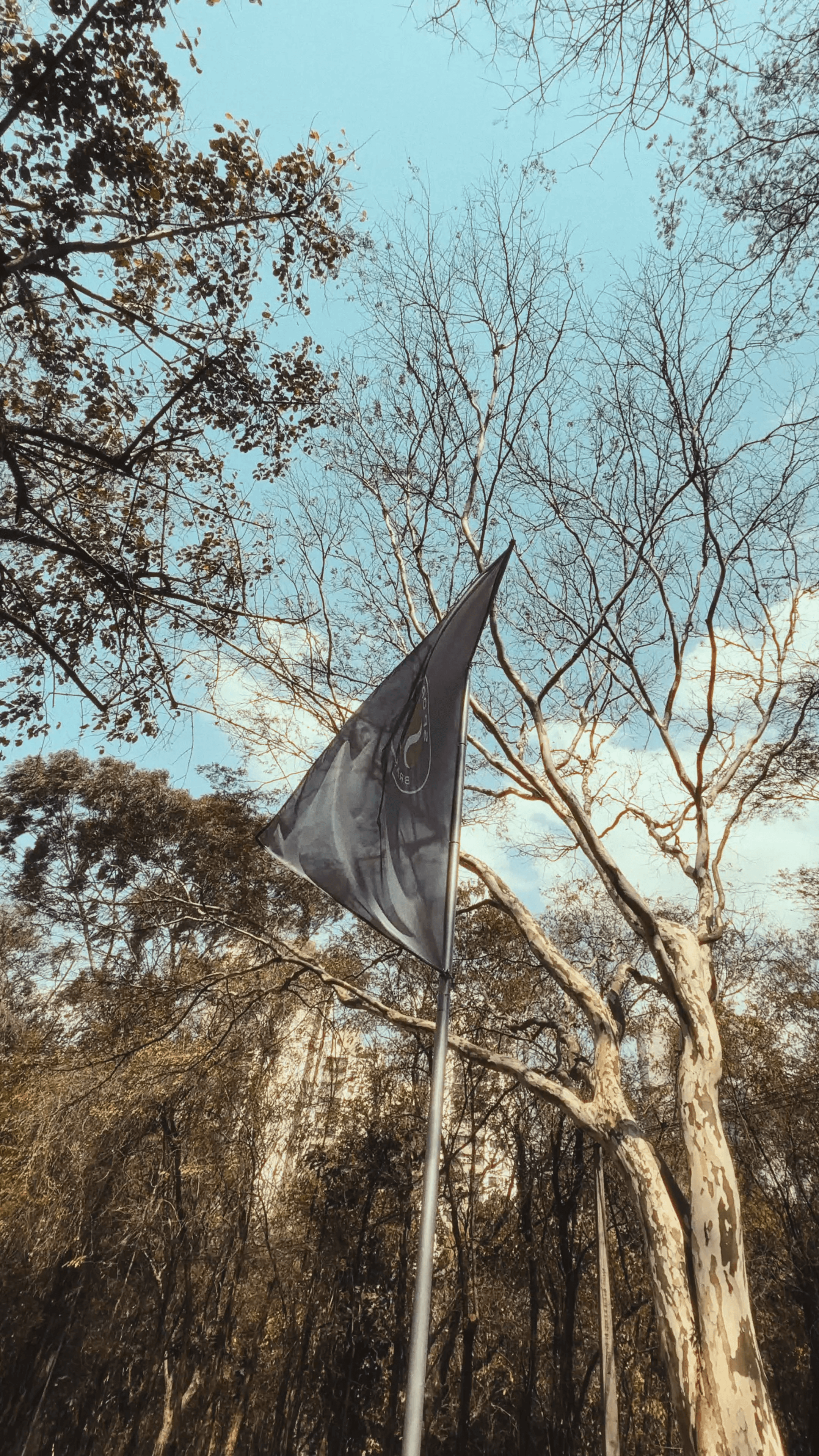 SP-OPEN 2025 frame 4