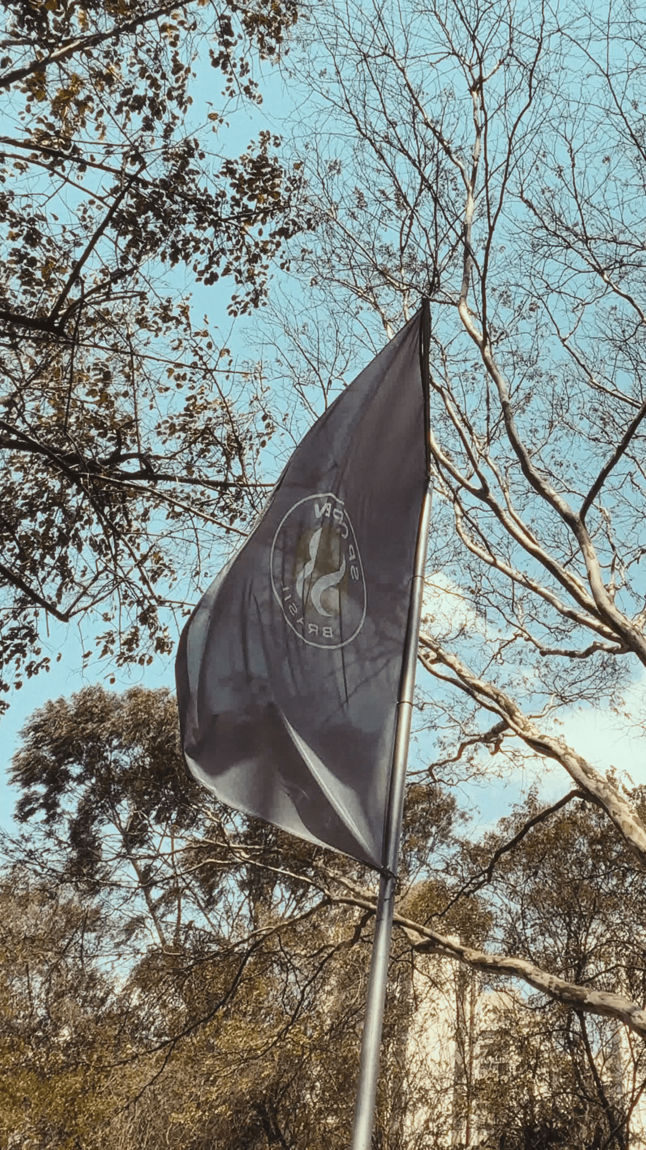 SP-OPEN 2025 frame 5