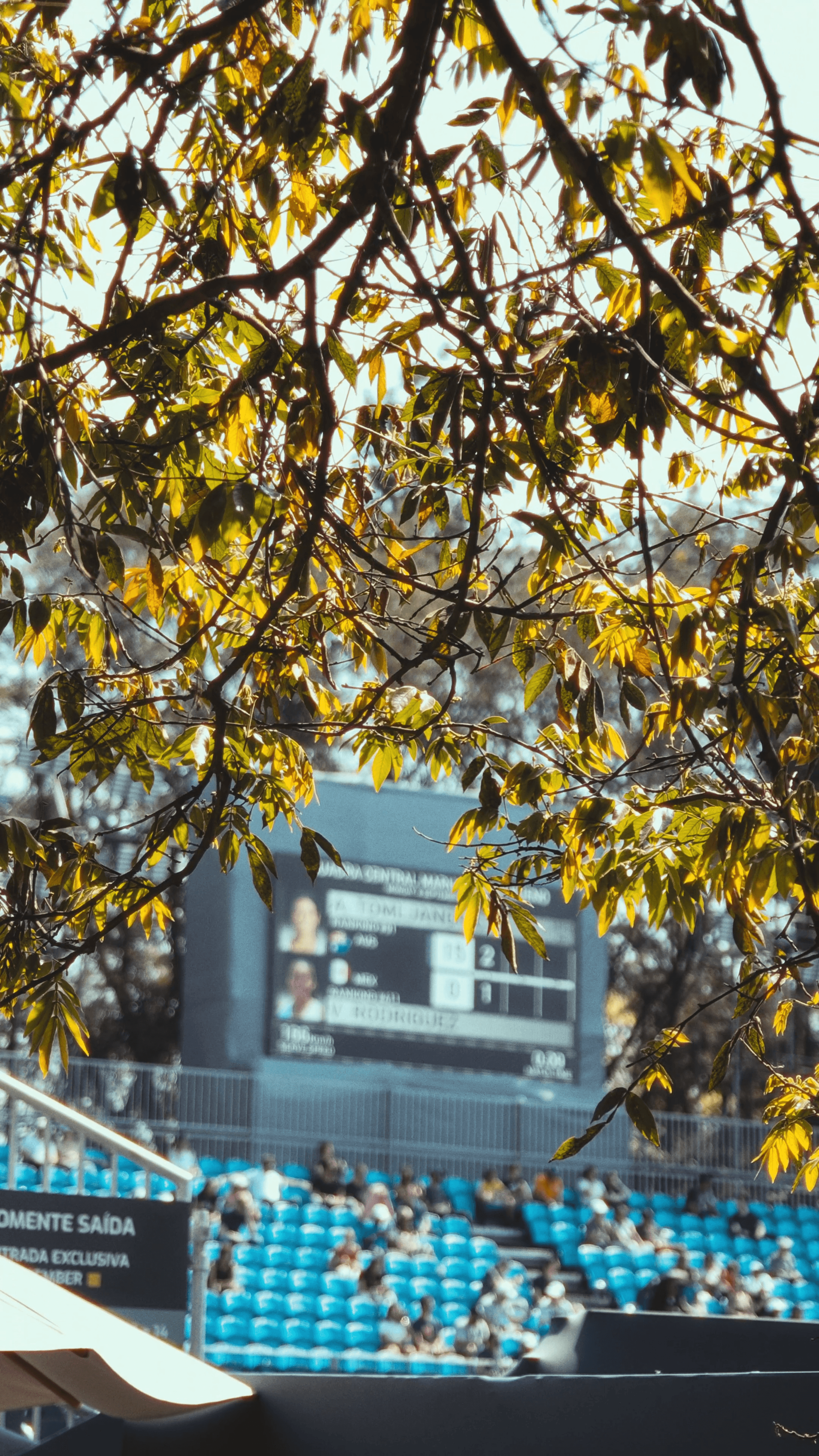 SP-OPEN 2025 frame 9