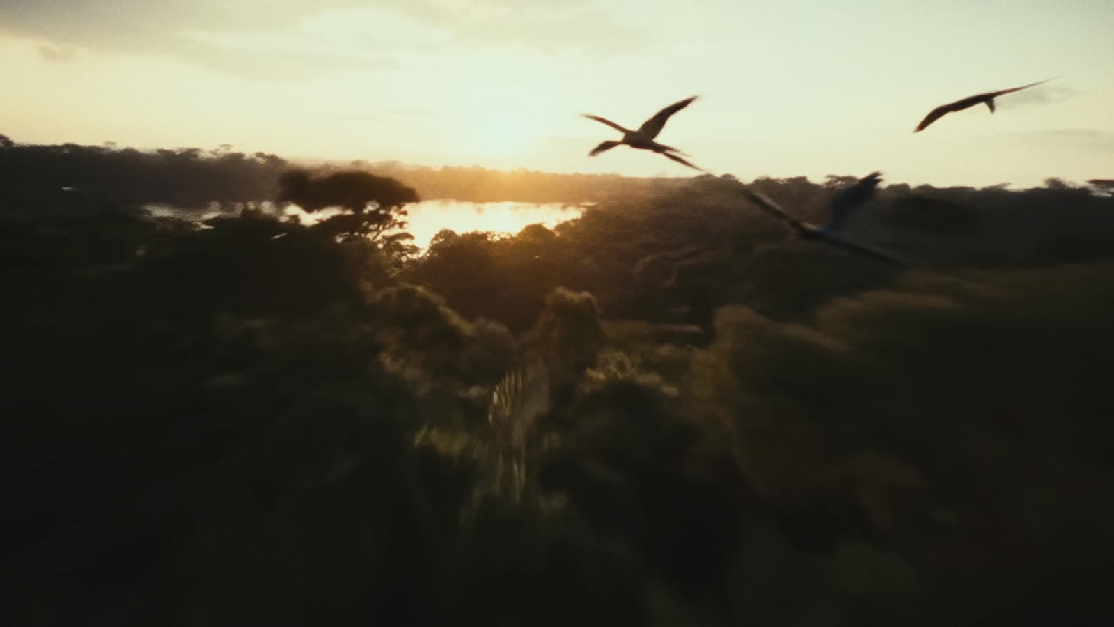 Frame 4