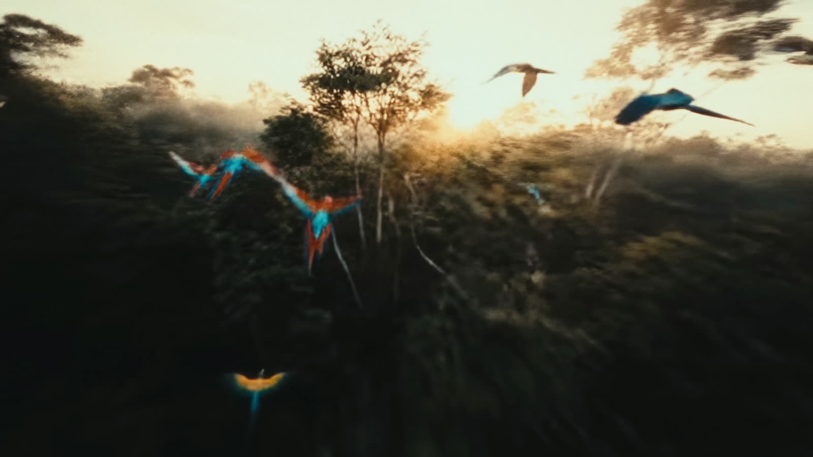 Frame 3