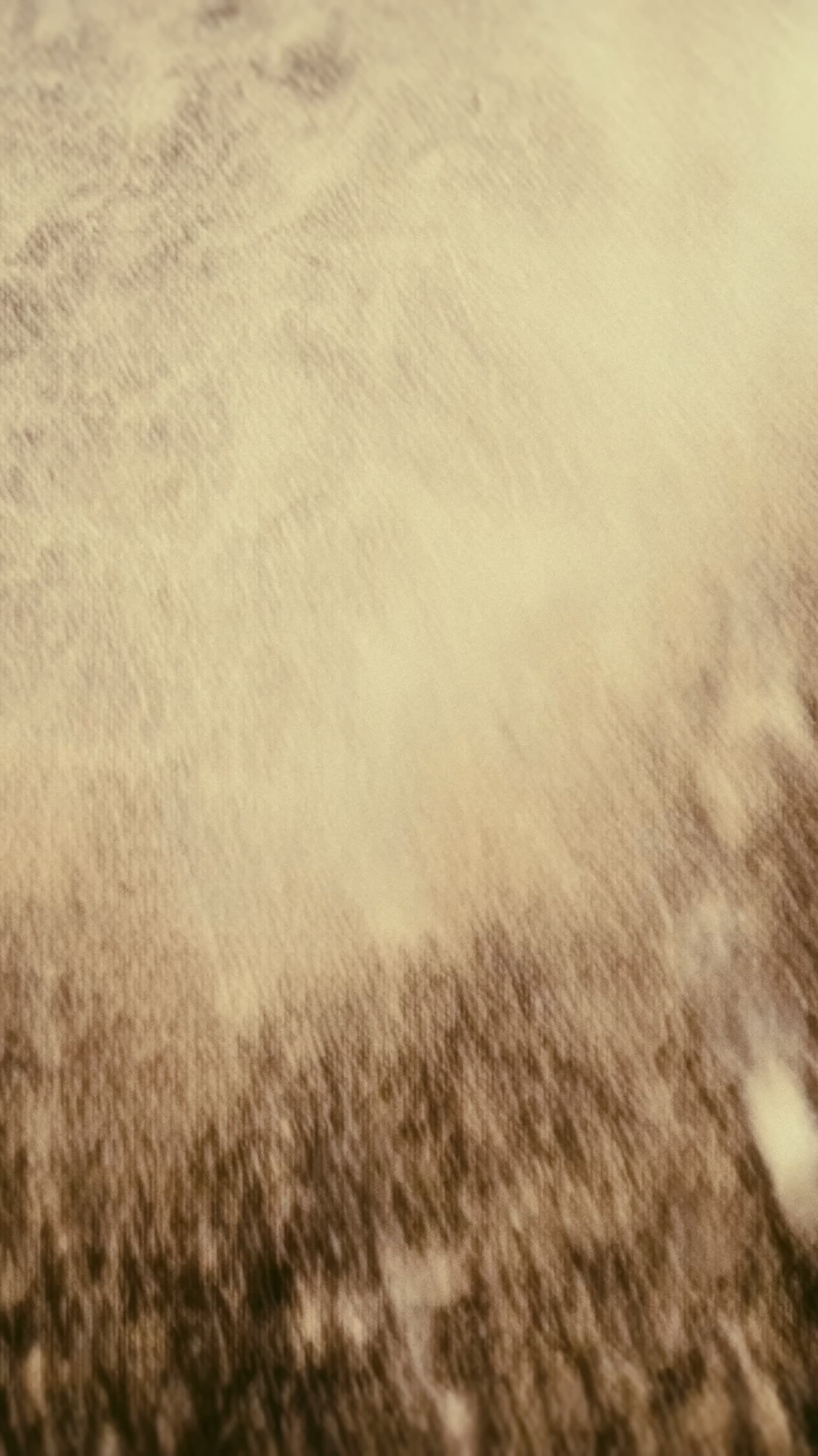 Frame 36
